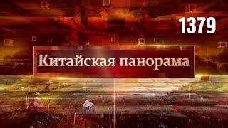 Чайная культура в новую эпоху, чай как драйвер экономики, роботы на плантациях – (1379)