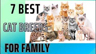 7 Best Cat Breeds for Families