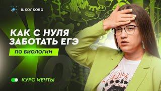 Как устроен курс мечты: готовимся к ЕГЭ по биологии с НУЛЯ