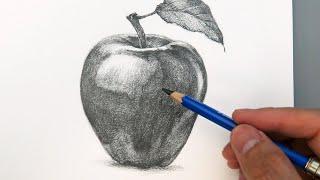 Drawing and Shading an Apple