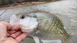 REALISTIC Winter CRAPPIE Fishing!