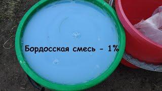 Бордосская смесь 1% - приготовление.