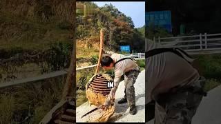 Why Chinese old people stay healthy? #shorts #viralvideo #shortvideo