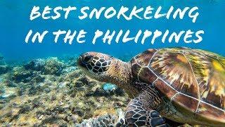 BEST Snorkeling in the Philippines