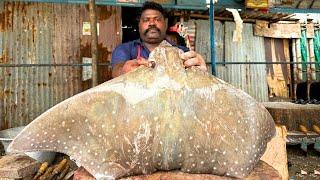 KASIMEDU SELVAM BIG STRING RAY FISH CUTTING VIDEO  | KASIMEDU SELVAM FISH CUTTING | UK SONS MARINE