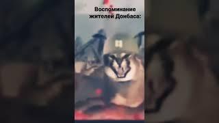 Шлёпа захватил мой канал!