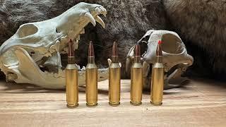 22 Creedmoor- Handloading results! Sub MOA? #coyotes #Predator #handloading #224 #22creedmoor #22cm￼