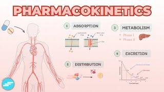 Pharmacokinetics: Absorption, Distribution, Metabolism & Excretion