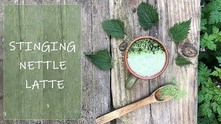 Stinging Nettle Latte - More Health Benefits Than Nettle Tea!