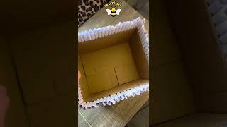 DIY Box Upgrade | Easy Way to Transform Your Old Box 