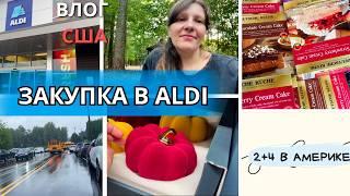 Закупка продуктов в Aldi Немецкая неделя! Происшествие в школе Испугались Все Семейный влог