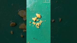 Gold Nuggets Found Underwater! #goldhunting #goldrush #gold