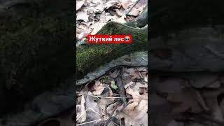 Знак️#shorts#tiktok#реальнаяжизнь#vlog#