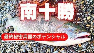 【南十勝　サクラマスチャレンジ】秘密兵器スプーンの神髄を確かめに新たなポイントで2週連続ゲットを狙った結果…