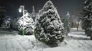 Beautiful Winter in Rudaki Park Central Dushanbe - Красивая зима в Парке Рудаки г. Душанбе