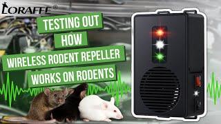 Testing out how Loraffe ZN-511 battery operated under hood rodent repellent works on rodents