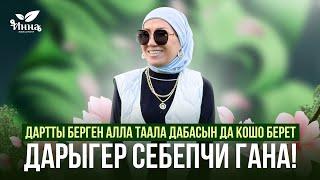 Дартты берген Алла Таала дабасын да кошо берет. Изденгиле!