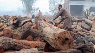 Process of Making Wooden Musical Drum (Dhol) | Traditional Drum Manufacturing Process