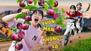 Hà Sam Du Lịch Tìm Quả Mận Siêu To Gặp Nhiều Điều Hấp Dẫn Trên Đường Đi