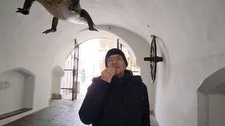 "ЗЕМЛЯ-21-й: города и страны!"Где висит КРОКОДИЛ, и почему он - дракон? ))) 