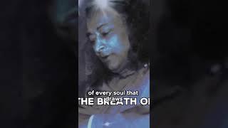 Discover the True Equality of Man! Paramhansa Yogananda