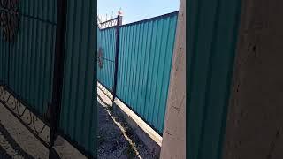 Түрси қайда достар 