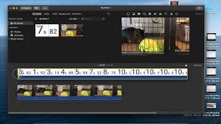 IMovie How to Add Timers