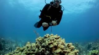 Breathe Easy Underwater with Cressi Scuba Diving Gear