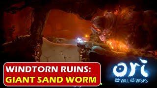 Windtorn Ruins: Escape from Sand Worm | Beneath Shifting Sands | Ori and the will of the wisps