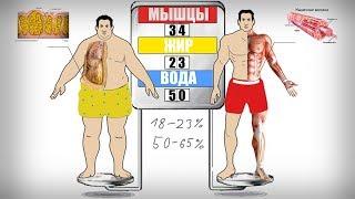 Как точно определить состав своего тела (ЖИР, ВОДА ИЛИ МЫШЦЫ)?