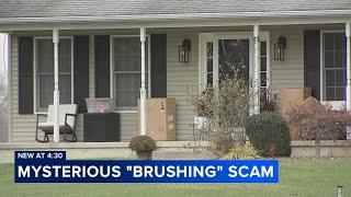 What is a brushing scam? What to know and how to protect yourself