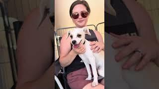 Video of adoptable pet named Tuna