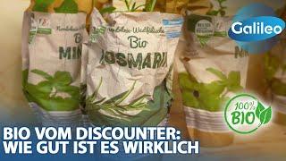 Gesund und umweltschonend: Wie gut ist Bio vom Discounter?