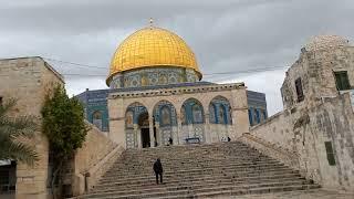 Ал Аксо. Куддуси шариф. Al Aqso. Ierusalim. Quddusi Sharif. Masjidul Saxro. Куббатул Сахро.