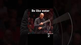 Float like a butterfly, sting like a bee #conductor #classicalmusic #orchestra #symphony #music