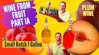 How to Make Wine from Fruit - Plum Wine Recipe - Small Batch Wine Part IA