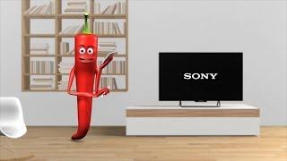 Sony -- Videoanleitung Sendersuchlauf