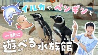 行く前に見て！うみたまごが100倍楽しくなる徹底解説クイズツアー大分マリーンパレス水族館 イルカショー