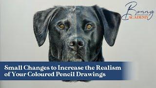 Small Changes to Increase the Realism of Your Coloured Pencil Drawings