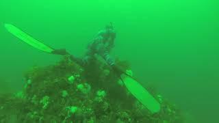 Variable weight spearfishing dives  with rockweights