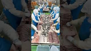 The Process Behind 40,000 Dried Fish a Day: Inside Japan’s Largest Factory #japanesefood