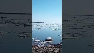 Дальний Восток 30 Апреля 2025г Амур Батюшка пробуждается от зимней спячки️