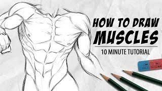 HOW TO DRAW MUSCLES IN 10 MINUTES | SixPack, Arms and Chest | DrawlikeaSir