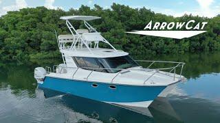 Experience the ArrowCat 320