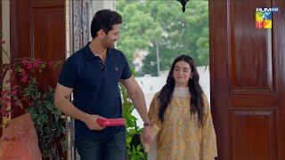 Sabahat Maa Banny Wali Hai...!! #mirzazainbaig #minsamalik - Mohabbat Reza Reza - HUM TV