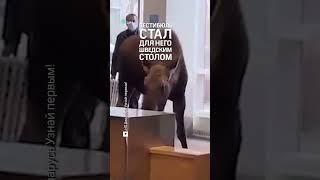 Наглый лось завалился в больницу на Аляске и съел все растения в вестибюле