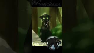 Фразочки котов воителей//часть 4#catswarriors #котывоители #shorts