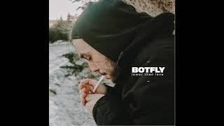 Botfly - Lower Than Love