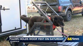 PAAWS holds Woof Fest on Saturday on Franklin St.