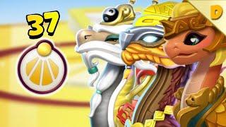 TOP 37 DIVINE DRAGONS | DRAGON MANIA LEGENDS